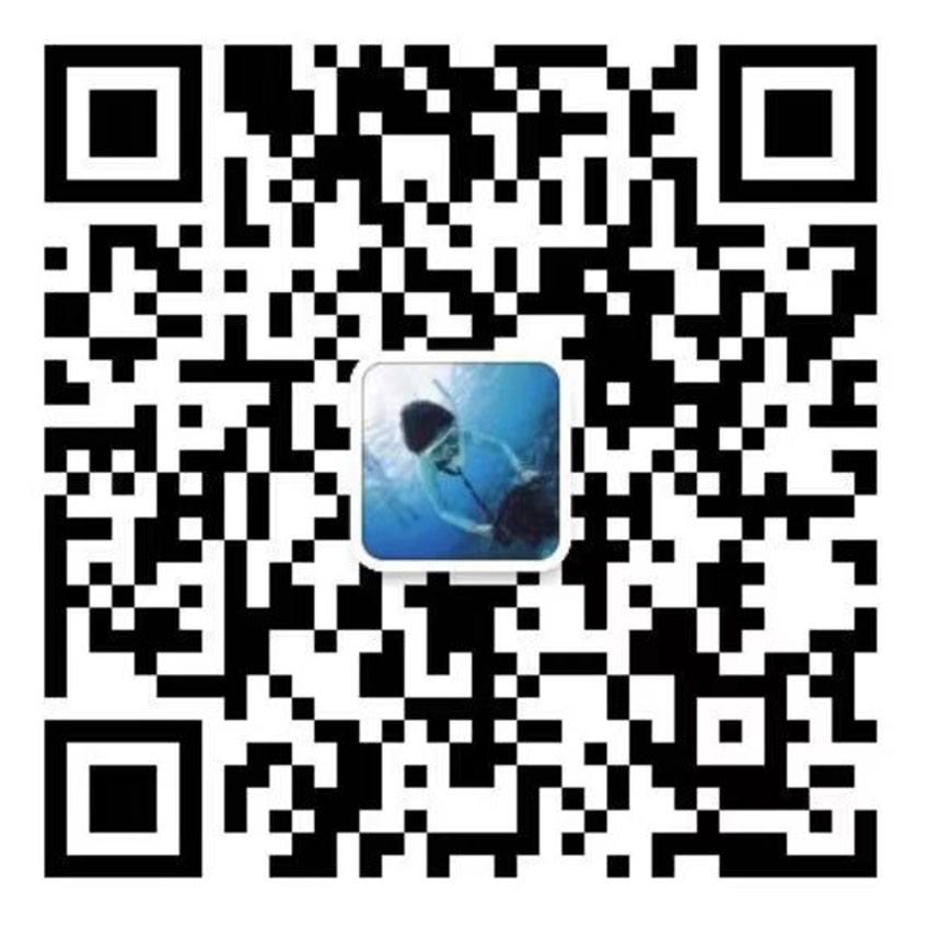 91免费视频下载污电机